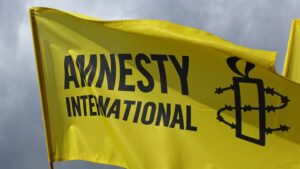 Amnesty International demands probe into alleged killing of man by soldiers in Maiduguri