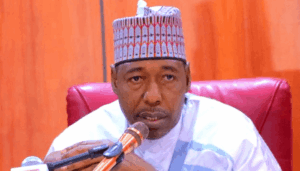 Zulum warns of potential suicide attacks, recommits to ending insecurity