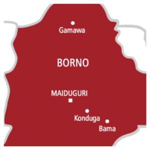 Elite Boko Haram and ISWAP commanders killed in Borno operation