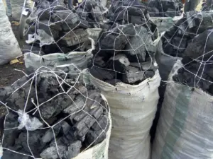 Taraba clamps down on illegal charcoal trade