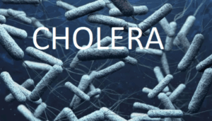 Iran conflict delays cholera supplies, heightening outbreak risks in Africa
