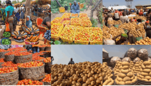 Akwa Ibom Assembly urges State Government- private sector collaboration to boost food...