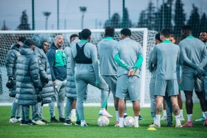 Super Eagles Squad Revealed: Ndidi, Iwobi, Lookman Lead 23-Player Call-Up For Friendlies