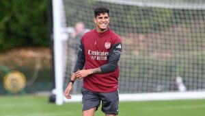 Arsenal Face Man City Challenge: Hincapie's Words Before Cup Final