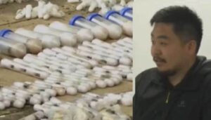Kenya Charges Two Men for Smuggling 2,000 Live Ants in Wildlife Trafficking Case