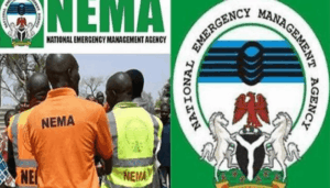 NEMA repatriates 1,230 stranded Nigerian migrants from Niger Republic