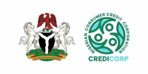 All you need to know about the ‘fly now, pay later’ initiative for local Nigerian flights