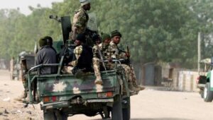Security forces foil bandits’ daylight cattle rustling attempt in Kano, recover 500 cows