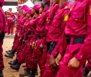 Mob attack on Amotekun office in Osun injures personnel