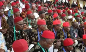 Ohanaeze Taps 4 Professors to Rescue Igbo Language From Extinction