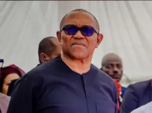 Low membership registration of Igbos may cost Peter Obi ADC presidential ticket –...