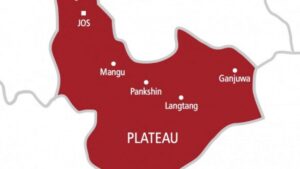 Plateau residents in shock as aborted twin babies found at refuse dump