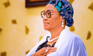Amadi Speaks Out on Remi Tinubu's UK Conduct