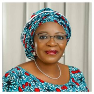 Nigerian Government begins review of mining laws, after 19 years