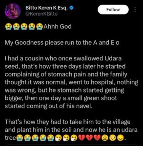 “I mistakenly swallowed udara seed, am i cooked?” — Lady ask
