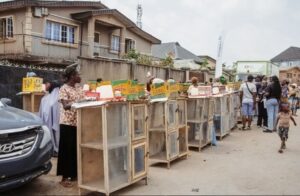 Oxygen X Drives Women’s Financial Inclusion in Lagos Through Sustainable Farming...