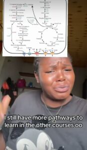 “We no be mate”- Female student Raises Alarm, displays complex diagram to learn before...