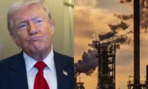 Global oil prices drop as Trump halts strikes against Iranian power plants