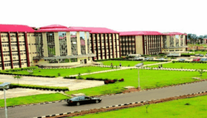 Nigeria Polytechnics pivot to Universities sparks worries on vocational skills shortfall