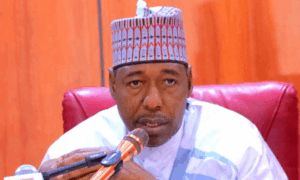 ‘We will rescue all in captivity’, Zulum vows to Ngoshe after terrorist raid