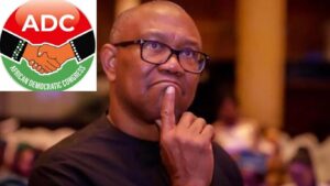 Peter Obi Doubts ADC's 2027 Presidential Prospects