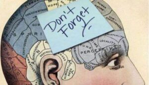 Why institutional memory matters