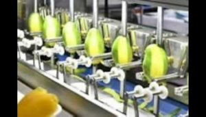 Roles of food processing machines