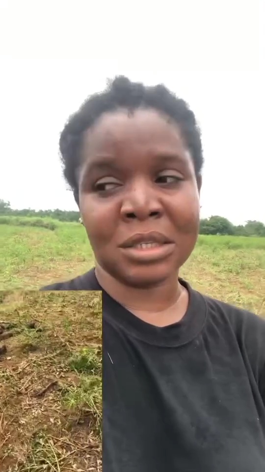 Bayelsa farmer accuses herders of destroying farmland as government stays silent