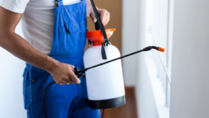 Why Early Termite Control Prevents Costly Property Repairs