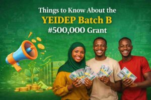 YEIDEP Batch B 2026: Things to Know About the #500,000 Grant