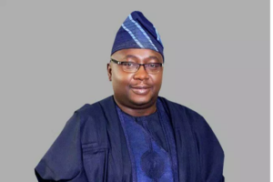 2027: Adelabu, Pate, Kyari, others may resign