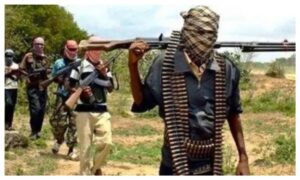Bandits kill two, rustle livestock in Katsina village attack