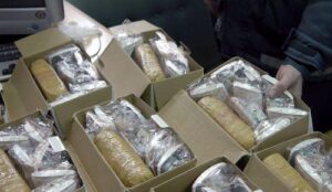 NDLEA foils attempt to export opioids, meth in carton walls, at Lagos airport