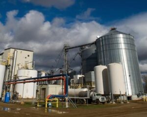 Why Nigeria should stop importing ethanol its cassava produces