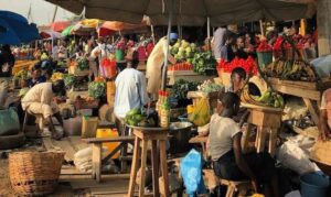 Agro-economic analysis: How top analysts can engineer sustainable solutions to...