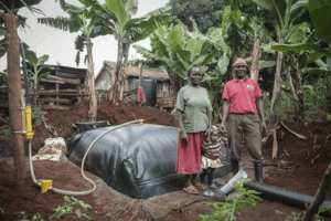 Sistema.bio Raises $53M to Bring Clean Energy to African Smallholder Farmers
