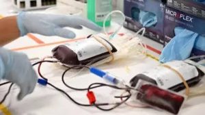 Jehovah’s Witnesses Review Blood Transfusion Policy On Members