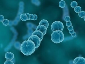 Stakeholders task states to commit more resources to health security amid recurring...