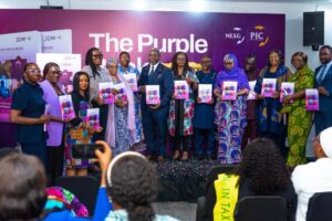 Nigeria’s tax reform success to be measured by fairness, not revenue – FG