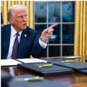 Iran war: US needs nothing from NATO – Trump spits fire