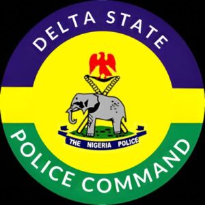 Police recover stolen vehicle conveying vandalized items in Delta