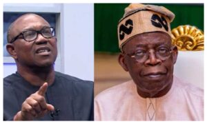 2027: Peter Obi only opposition figure with solid vote bank against Tinubu – Wali