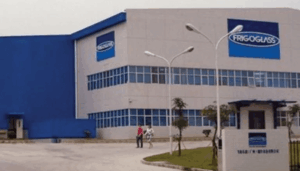 Beta Glass grows FY’25 profit by 144%